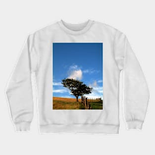 Tree on a Hill Crewneck Sweatshirt